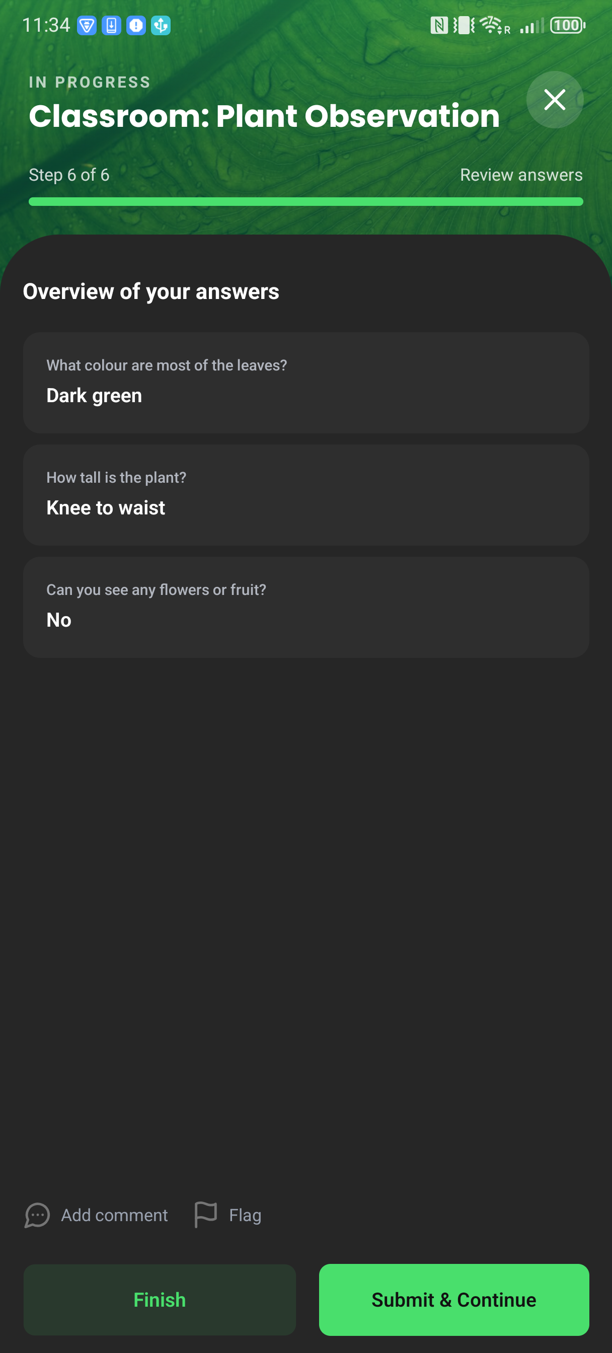 The questions-only review screen before submission